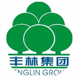 丰林集团2024年回顾丨质量篇 坚守初心,坚定不移地走精品路线