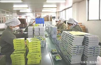 党员带头战“疫”,广药集团全力打好疫情防控阻击战