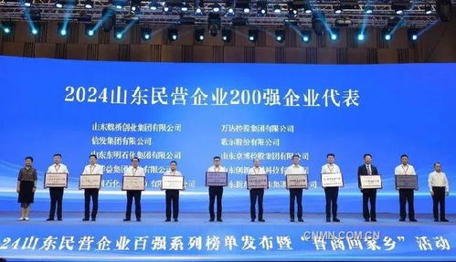 魏桥创业集团14年领跑山东民营企业重点新闻 有色金属新闻 中国有色金属报主办