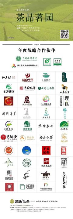 雅茶 | 厚积薄发 起步提速 全力以赴备战春茶季