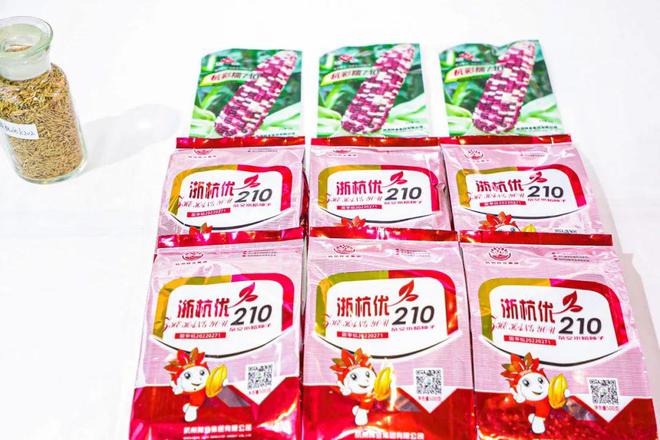 集团动态|春耕备耕 市农发集团全力下好良种保障先手棋