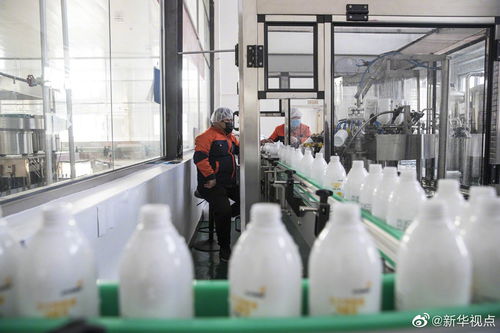 组织协调生活必需品重点企业提前复工复产 中国青年网