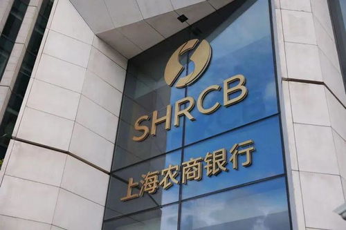 进城还是进村 上海农商行郊区分支行半年减员168人