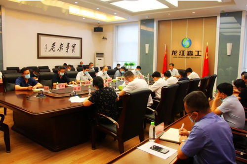龙江森工集团公司党委第17次会议强调 提高站位奋发有为积极推进 全力做好集团各项重点工作