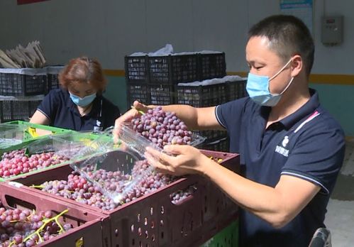 奎屯企业全力助农 解农产品销售难题