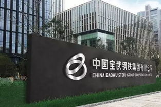 中国宝武文化融合首个试点项目,武钢集团全力推进