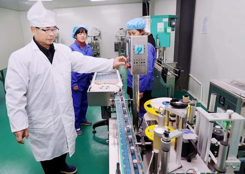 春节不 打烊 冲刺 开门红 新区企业生产 项目建设平稳有序