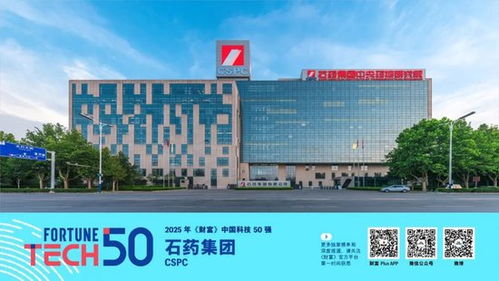 2025年 财富 中国科技50强 华为 deepseek 宁德时代等上榜